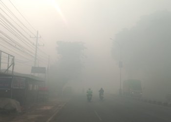 Karhutla Merebak, Kabut Asap Ancam Kesehatan Warga Banjarbaru
