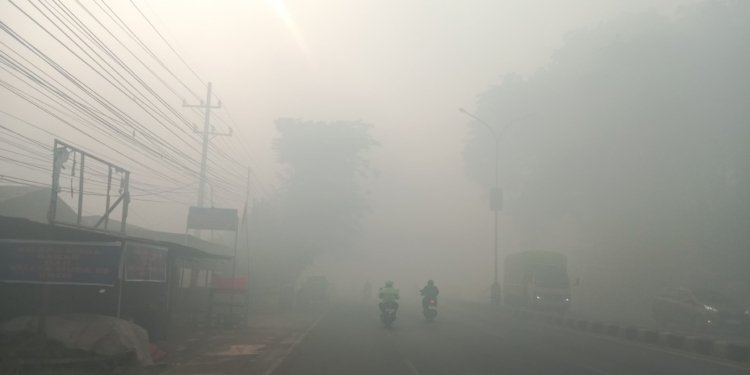 Karhutla Merebak, Kabut Asap Ancam Kesehatan Warga Banjarbaru