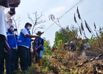 11 Perusahaan di Kalsel Terindikasi Kuat dalam Kasus Karhutla