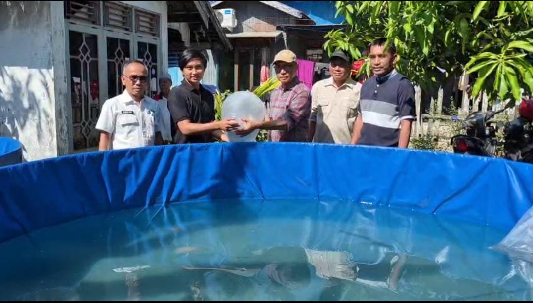 Borneo Aquaculture Terima 6.000 Bibit Papuyu, Dorong Pemuda Desa Jawa Laut Kembangkan Ekonomi Produktif