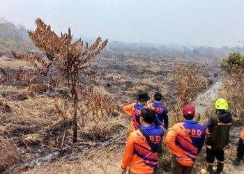 BPBD Balangan Perkuat Patroli Karhutla, Tiga Titik Rawan di Batumandi dan Lampihong Dipantau