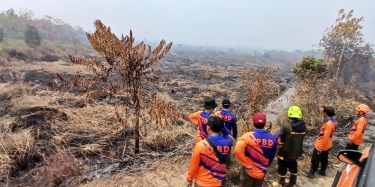 BPBD Balangan Perkuat Patroli Karhutla, Tiga Titik Rawan di Batumandi dan Lampihong Dipantau