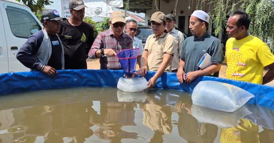 Bantuan Budidaya Papuyu Disalurkan ke 10 Kelompok di Kabupaten Banjar