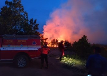 Karhutla Tambang Ulang di Lahan Milik Warga Luar Tanah Laut