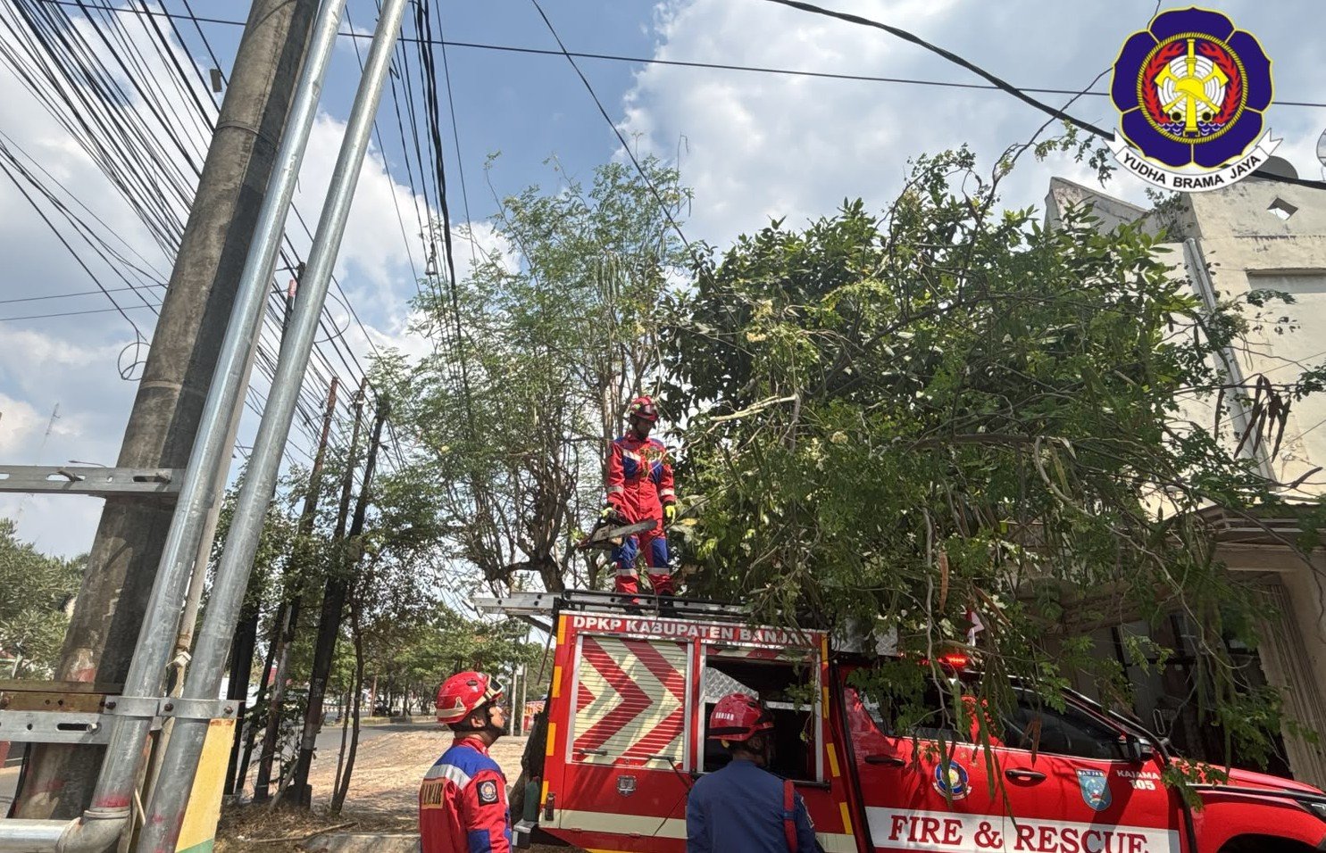 Pohon Tumbang Tutup Akses Jalan di Martapura, Tim Rescue Damkar Banjar Bergerak Cepat