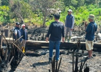 Paser Dan Samarinda Jadi Dominasi Wilayah Penyelidikan, Kasus Karhutla Di Kaltim Didominasi Petunjuk Awal