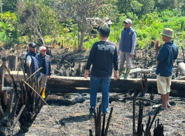 Paser Dan Samarinda Jadi Dominasi Wilayah Penyelidikan, Kasus Karhutla Di Kaltim Didominasi Petunjuk Awal