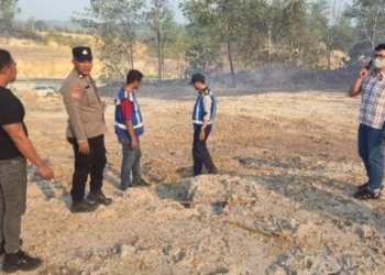 Ancaman Karhutla di Jantung Tahura Bukit Soeharto: Lima Hektare Lahan Terbakar di Pinggir Jalan Tol
