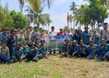 Brigade Pangan Tani Modern Akar Bagantung Buktikan Produktivitas Padi Bisa Digenjot, Ubinan Siam Rukut Capai Potensi 5,8 Ton per Hektare
