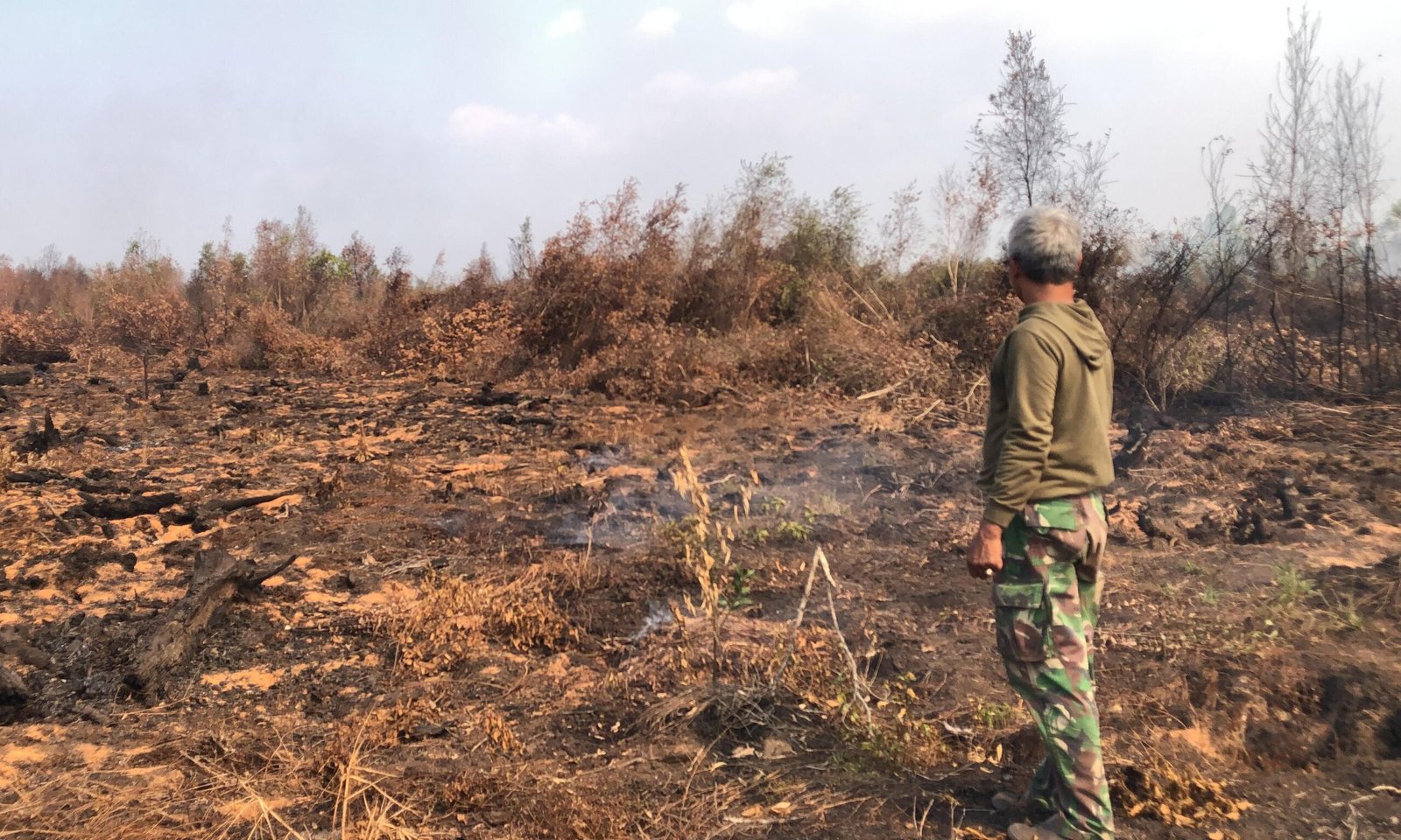 Siapkan Kebun untuk Masa Pensiun, Puluhan Pohon Rambutan dan Limau Bambang Ludes Terbakar