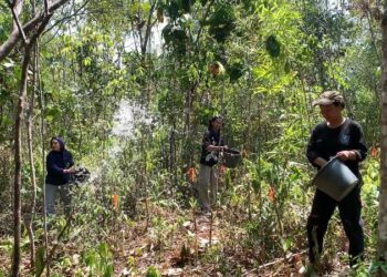 Antisipasi Karhutla, Mapala Piranha ULM Lakukan Pembasahan