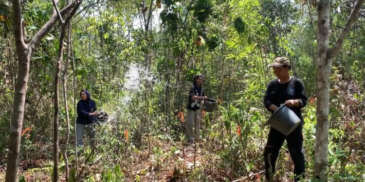 Antisipasi Karhutla, Mapala Piranha ULM Lakukan Pembasahan