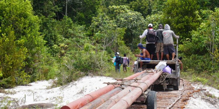 Sinergi PLN dan Pemkab Barito Selatan, Mengkatip Kini Nikmati Listrik 24 Jam