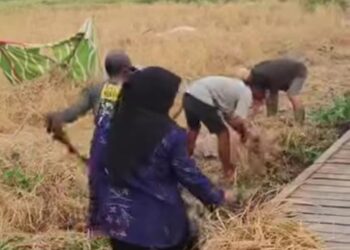 Antisipasi Karhutla, Pembakal Tambak Baru Ulu Bersama Warga Bersihkan Area di Bawah Jembatan Pertanian