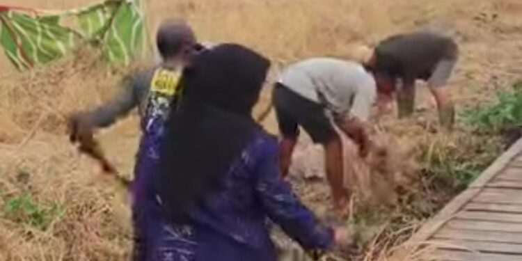 Antisipasi Karhutla, Pembakal Tambak Baru Ulu Bersama Warga Bersihkan Area di Bawah Jembatan Pertanian