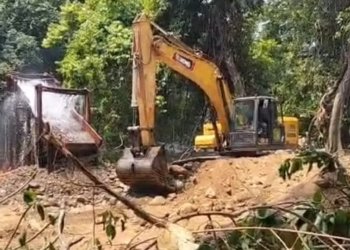 Dugaan Tambang Emas Ilegal di Desa Pa’au, Hutan Konservasi Tahura Sultan Adam Ludes Rata Tanah