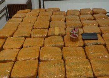 Pengungkapan Jaringan Narkoba Petamburan, Pelaku Ngaku Sudah 5 Kali Transaksi Sebelum Ditangkap Ditresnarkoba