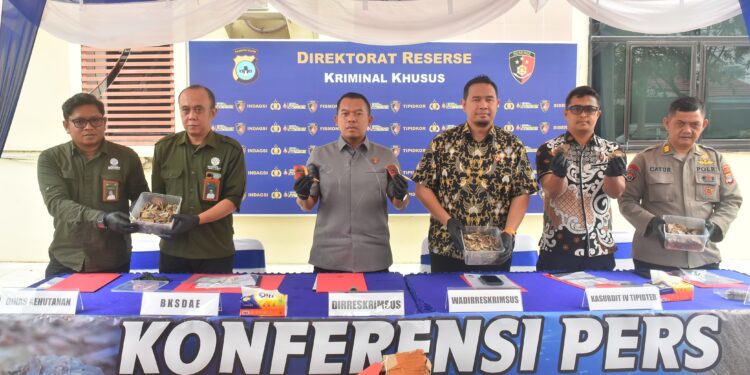 Polda Kalsel Gagalkan Penyelundupan 57,8 Kg Sisik Trenggiling dan 90 Gram Paruh Burung Rangkong