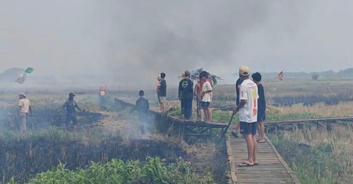 Api Mendekati Permukiman, Warga Tambak Baru Ulu Bergerak Padamkan Kebakaran