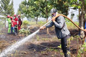 Ribuan Karhutla Kepung Kalsel, Daerah Ini Terparah!