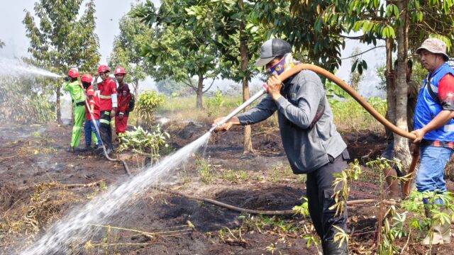 Ribuan Karhutla Kepung Kalsel, Daerah Ini Terparah!