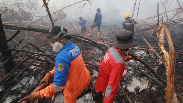 BPBD Kalsel Uji Bubuk Pemadam dari Brasil untuk Atasi Karhutla