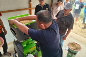 PLN Kalselteng Bekali Petani Penggunaan Mesin Penggilingan Padi Listrik