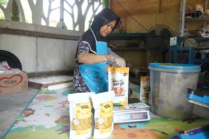 Jolali Edu Town Antar PLN UID Kalselteng Raih Platinum di ICA dan ISDA 2026