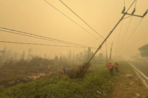 Sigap Tangani Dampak Karhutla, PLN Amankan Aset Listrik di Kasongan
