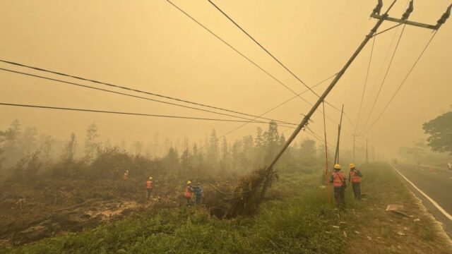 Sigap Tangani Dampak Karhutla, PLN Amankan Aset Listrik di Kasongan