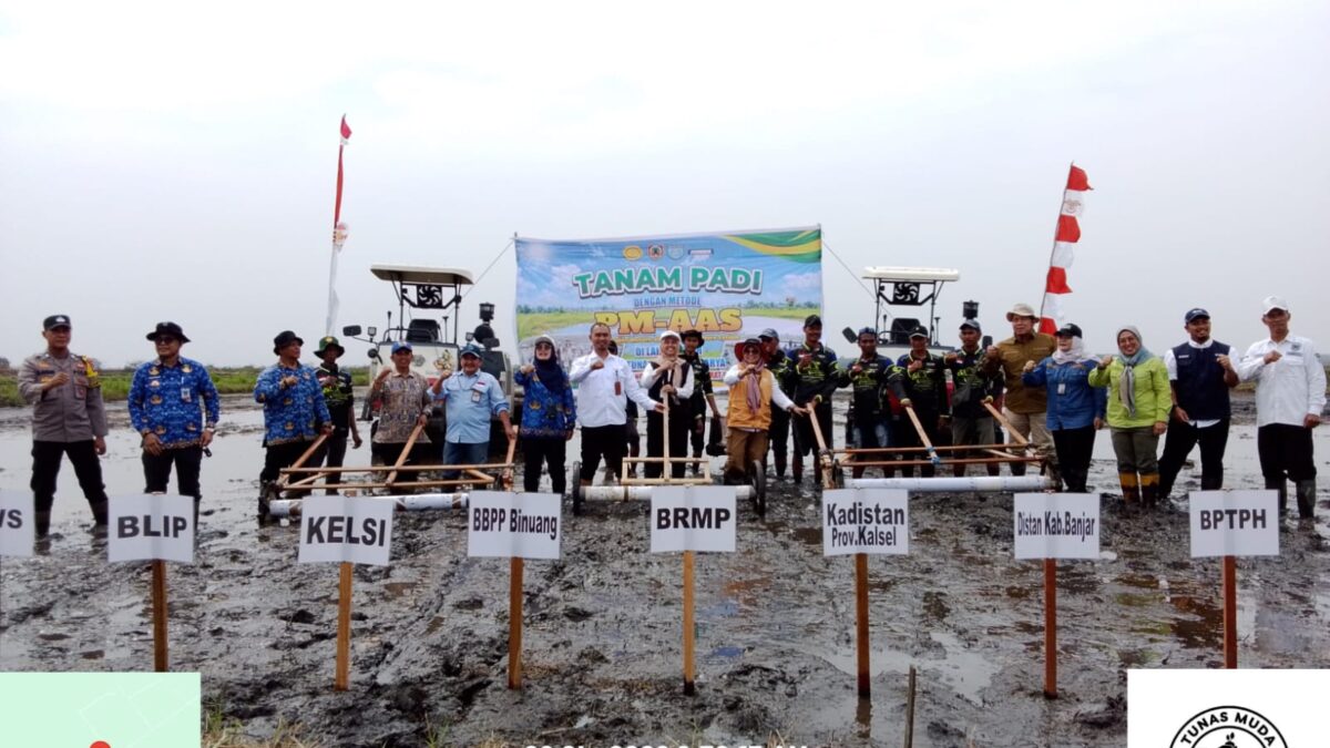 Optimalisasi Lahan Di Sungai Batang, Petani Didorong Tanam Padi Dua Kali Setahun