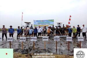 Optimalisasi Lahan Di Sungai Batang, Petani Didorong Tanam Padi Dua Kali Setahun