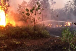Hujan Lebat Tekan Karhutla Banjarbaru, 2.100 Hektare Lahan Telah Terbakar