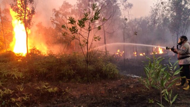 Hujan Lebat Tekan Karhutla Banjarbaru, 2.100 Hektare Lahan Telah Terbakar