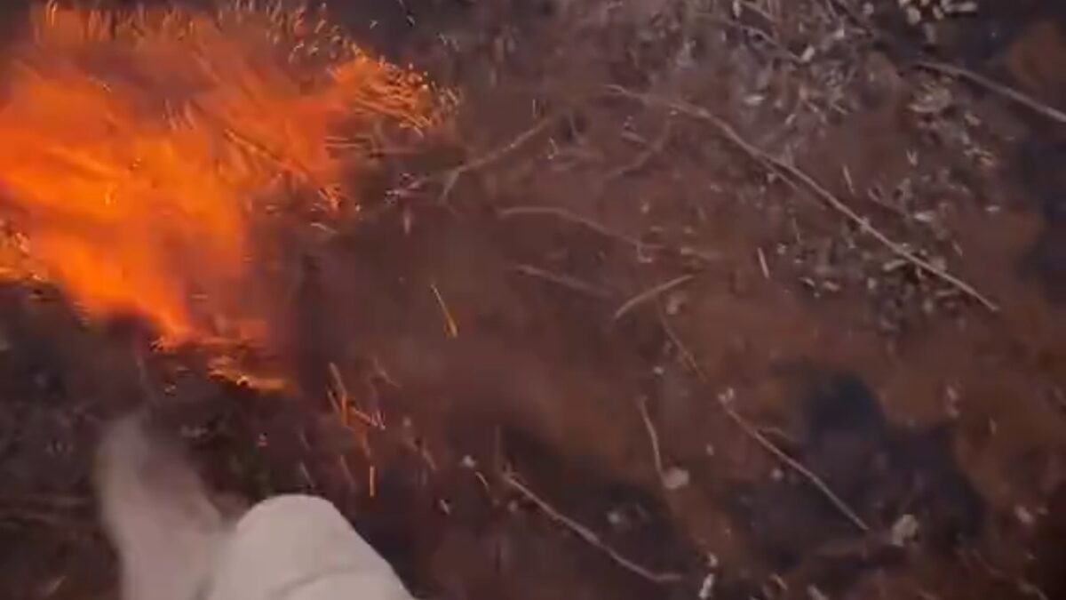 Video: Alasan Lahan Gambut Sulit Dipadamkan
