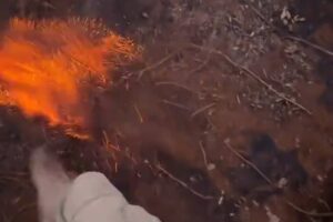 Video: Alasan Lahan Gambut Sulit Dipadamkan