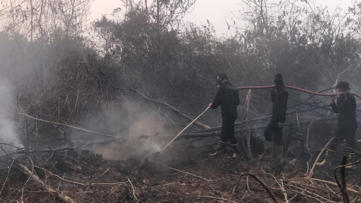 Cairan Khusus Ini Disiapkan Tangani Karhutla