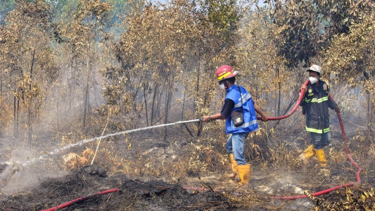 Tiga Kabupaten Kalsel Tetapkan Tanggap Darurat Karhutla